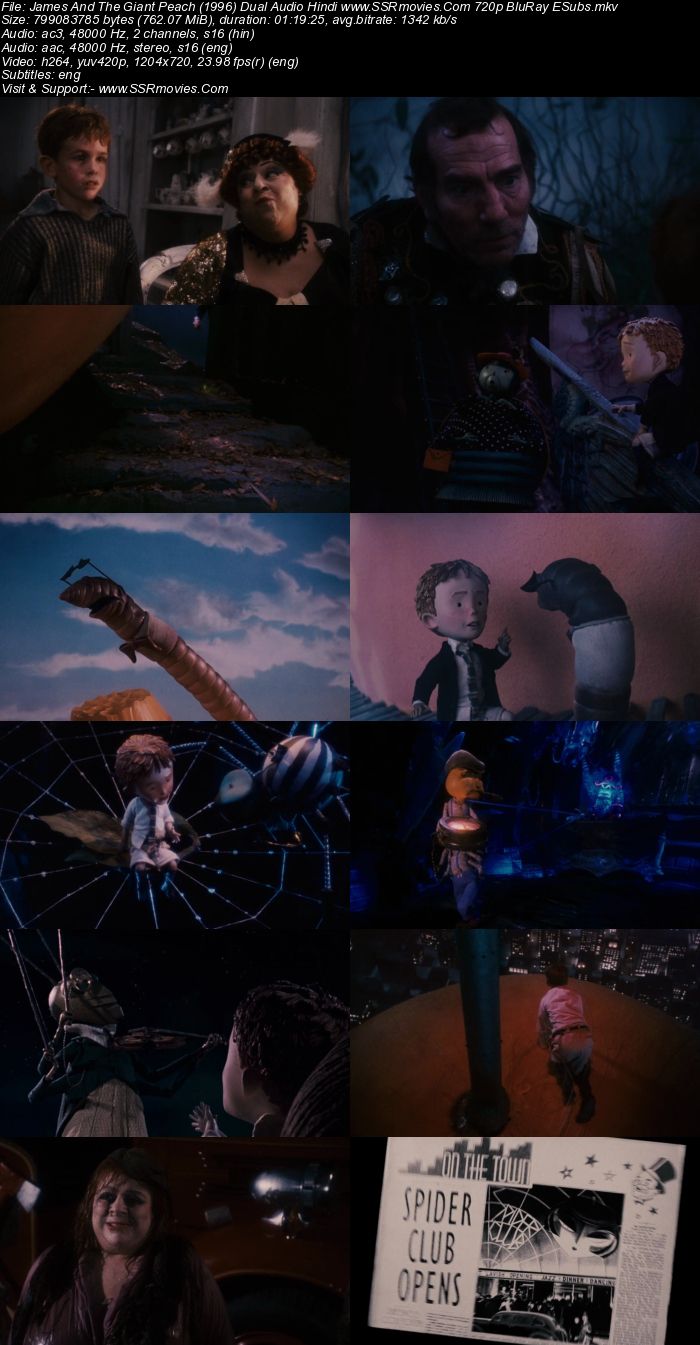 James & The Giant Peach (1996) Dual Audio Hindi 480p BluRay 250MB Movie Download