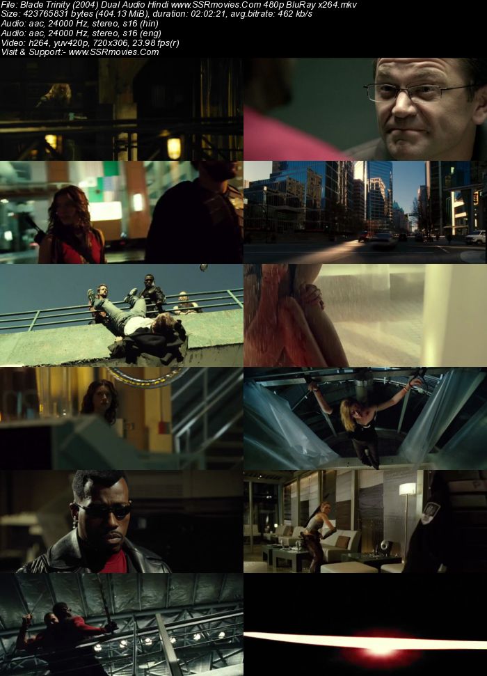 Blade Trinity (2004) Dual Audio Hindi 720p BluRay x264 1.2GB Movie Download