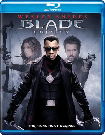 Blade Trinity (2004) Dual Audio Hindi 480p BluRay x264 400MB Movie Download