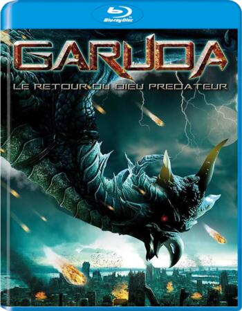 Garuda (2004) Dual Audio Hindi 720p BluRay x264 900MB Movie Download