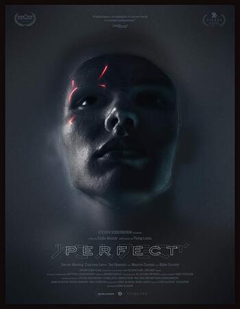 Perfect 2018 720p WEB-DL Full English Movie Download