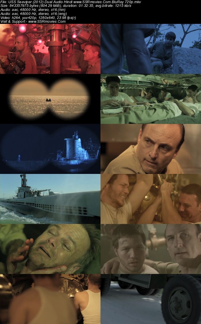 USS Seaviper (2012) Dual Audio Hindi 480p BluRay x264 300MB Movie Download