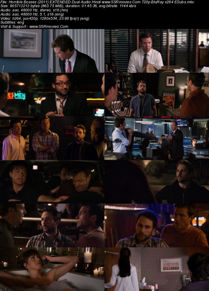 Horrible Bosses (2011) EXTENDED Dual Audio Hindi 480p BluRay 350MB Movie Download