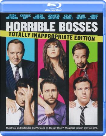 Horrible Bosses (2011) EXTENDED Dual Audio Hindi 720p BluRay ESubs Movie Download