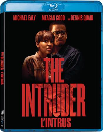 The Intruder (2019) Dual Audio Hindi ORG 480p WEB-DL 300MB ESubs Movie Download