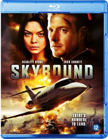 Skybound (2018) Dual Audio Hindi ORG 720p BluRay 750MB ESubs Movie Download