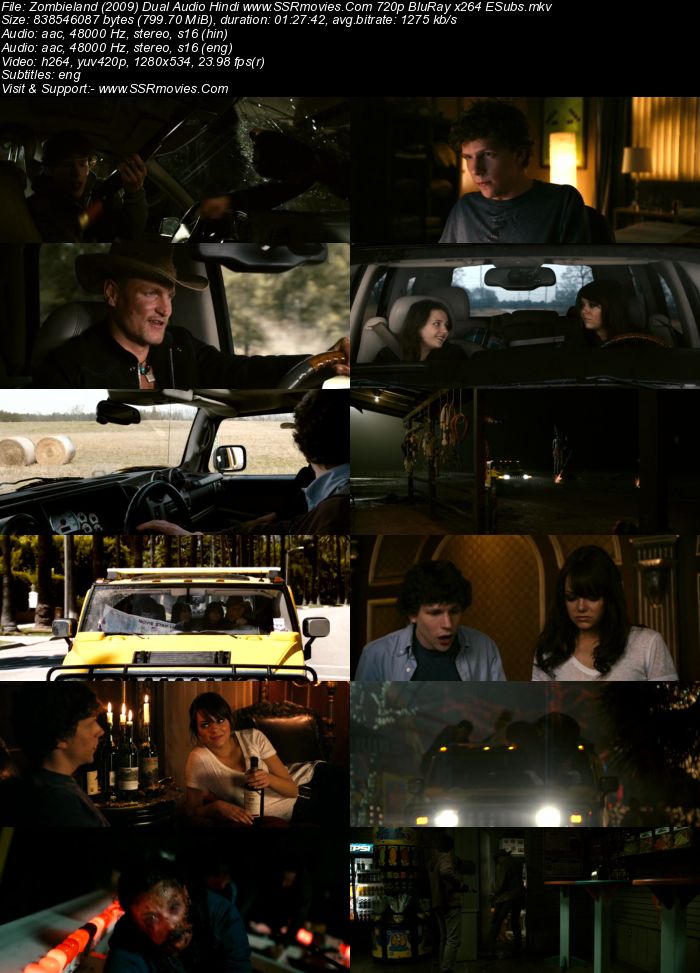 Zombieland 2009 Dual Audio Hindi ORG 720p 480p BluRay x264 ESubs Full Movie Download