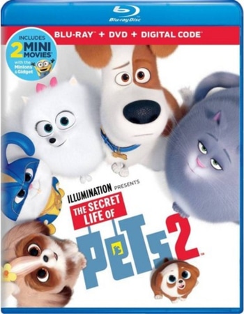 The Secret Life Of Pets 2 (2019) Dual Audio Hindi ORG 480p BluRay 300MB Movie Download