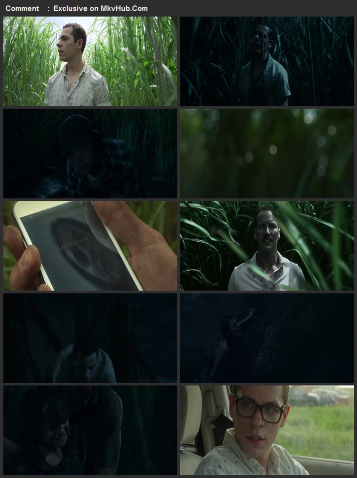 In the Tall Grass 2019 720p WEB-DL Full English Movie Download