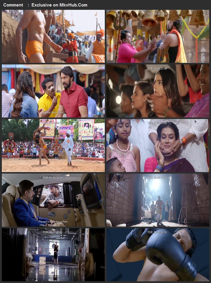 Pailwaan 2019 720p HDRip Full Hindi Movie Download