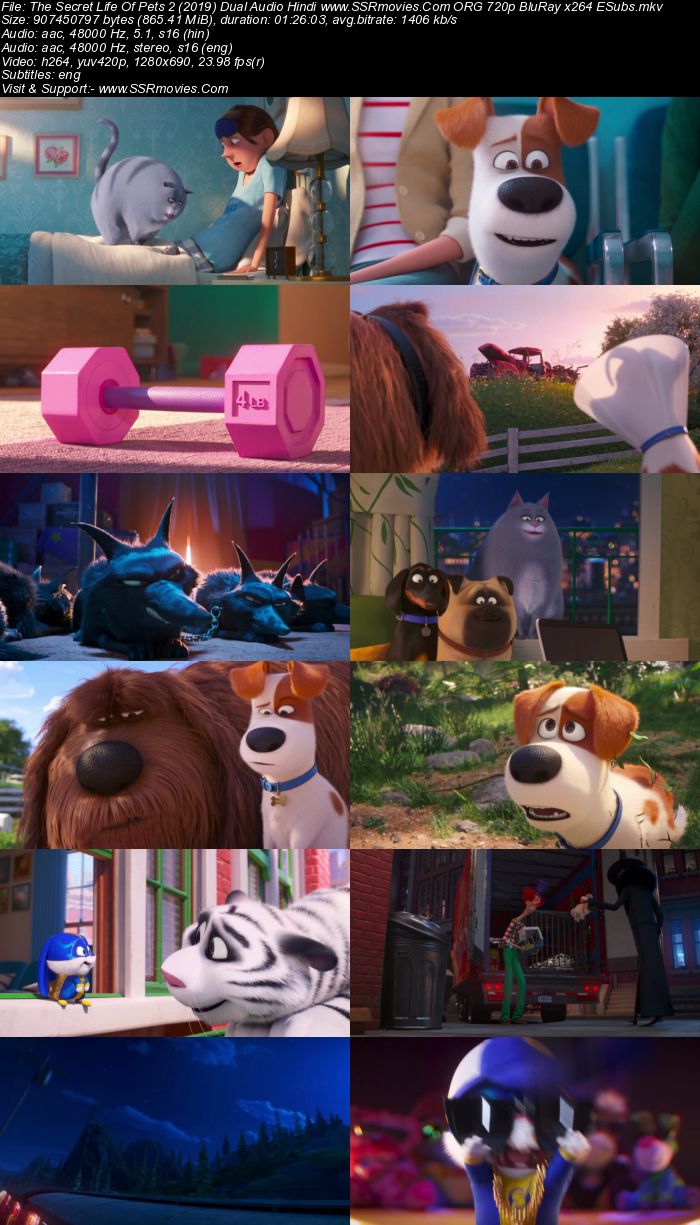 The Secret Life Of Pets 2 (2019) Dual Audio Hindi ORG 720p BluRay ESubs Movie Download