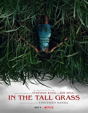 In the Tall Grass (2019) English 480p HDRip x264 300MB Hindi Subs Movie Download