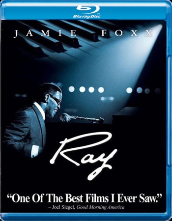 Ray (2004) Dual Audio Hindi 480p BluRay x264 500MB ESubs Movie Download