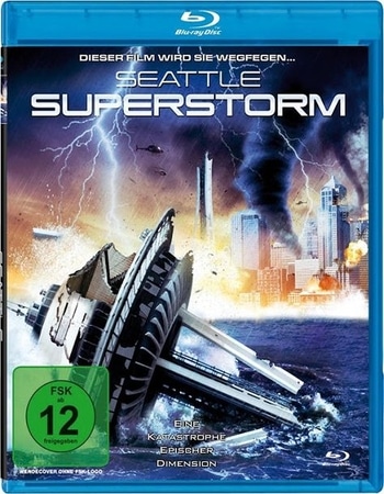 Seattle Superstorm (2012) Dual Audio Hindi 480p BluRay x264 300MB Movie Download