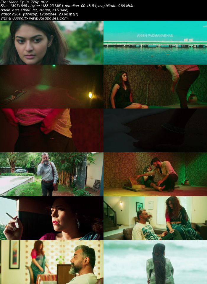 Nisha S01 2019 Complete Hindi 720p 480p WEB-DL x264 1.1GB Download