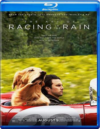 The Art of Racing in the Rain 2019 720p BluRay Full English Movie Download