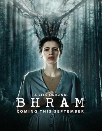 Bhram 2019 S01 Hindi Complete 720p 480p WEB-DL 1.3GB Download