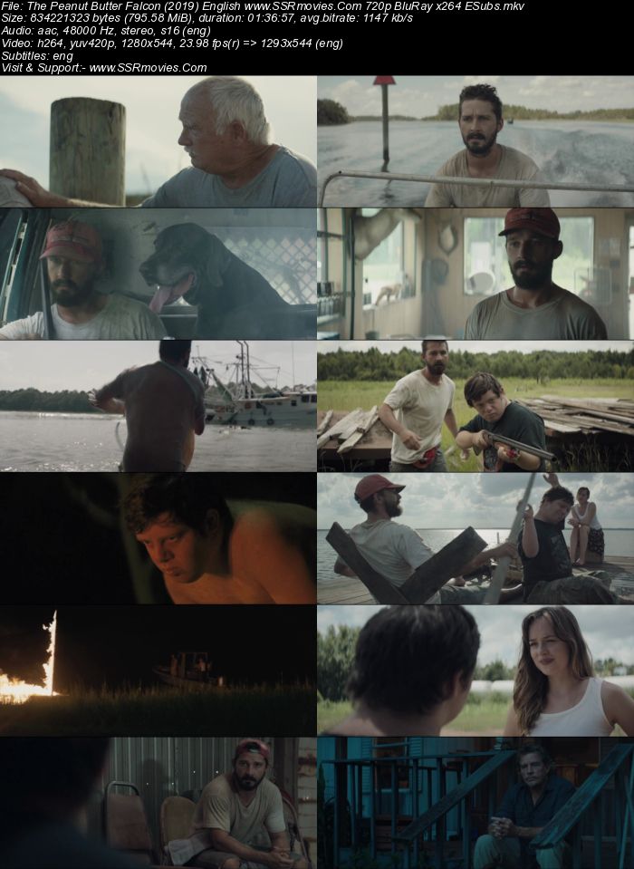 The Peanut Butter Falcon (2019) English 720p BluRay x264 800MB ESubs Movie Download