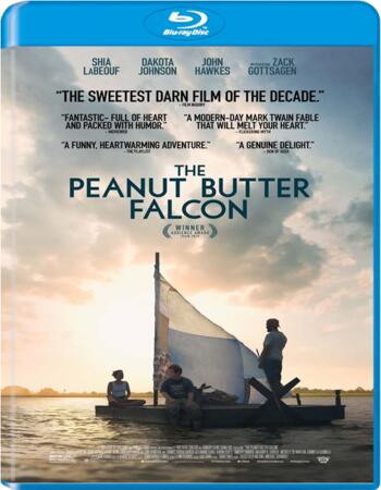 The Peanut Butter Falcon (2019) English 720p BluRay x264 800MB ESubs Movie Download