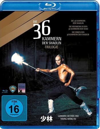 The 36th Chamber of Shaolin (1978) Dual Audio Hindi 480p BluRay 350MB Movie Download