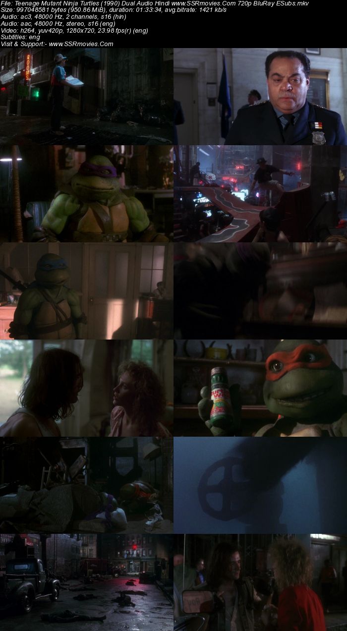 Teenage Mutant Ninja Turtles (1990) Dual Audio Hindi 720p BluRay ESubs Movie Download