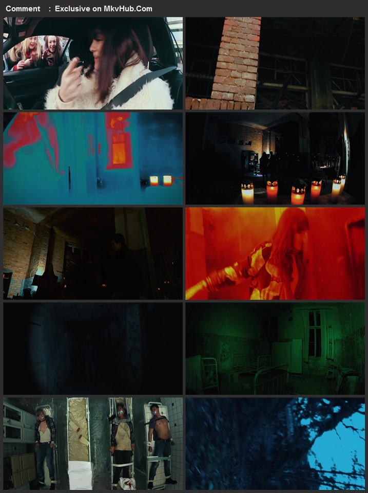 Heilstatten 2018 720p BluRay Full English Movie Download