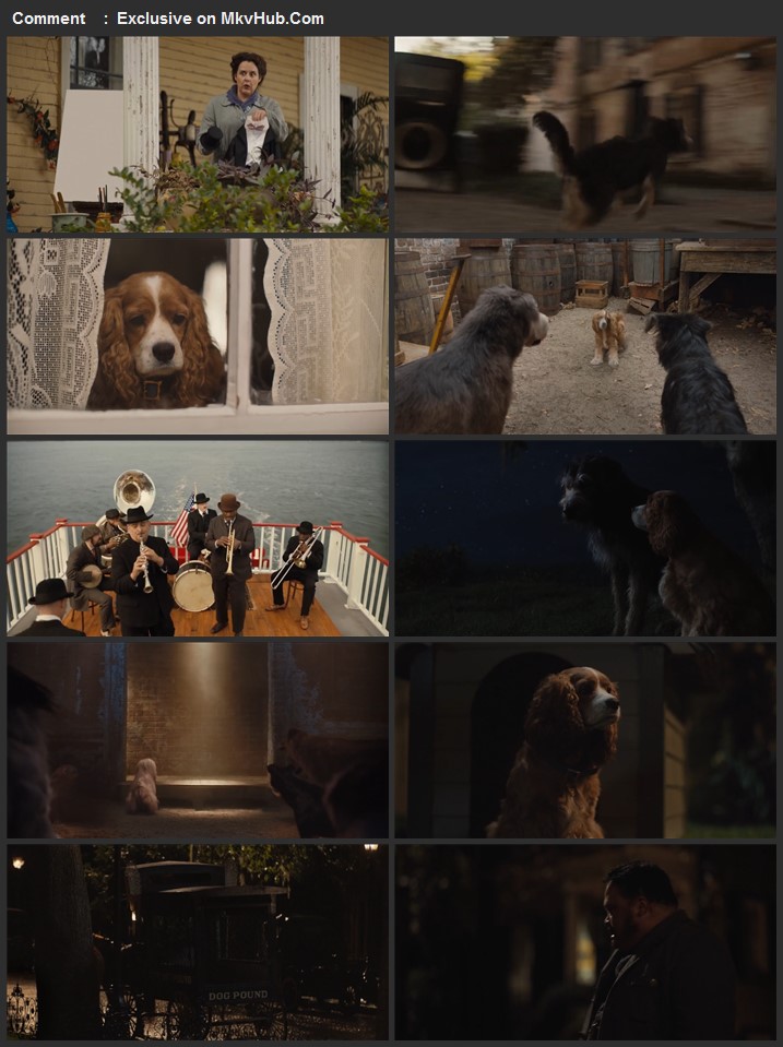 Lady and the Tramp 2019 720p HDRip Full English Movie Download