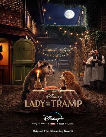 Lady and the Tramp (2019) English 480p WEB-DL x264 300MB ESubs Movie Download