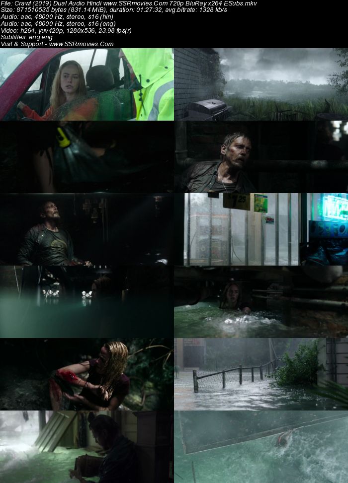 Crawl (2019) Dual Audio Hindi ORG 480p BluRay x264 300MB ESubs Movie Download