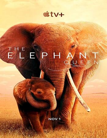 The Elephant Queen (2019) Hindi 720p WEB-DL x264 800MB Movie Download
