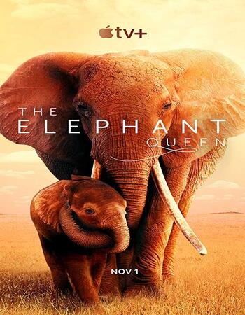 The Elephant Queen (2019) Hindi 480p WEB-DL x264 300MB Movie Download