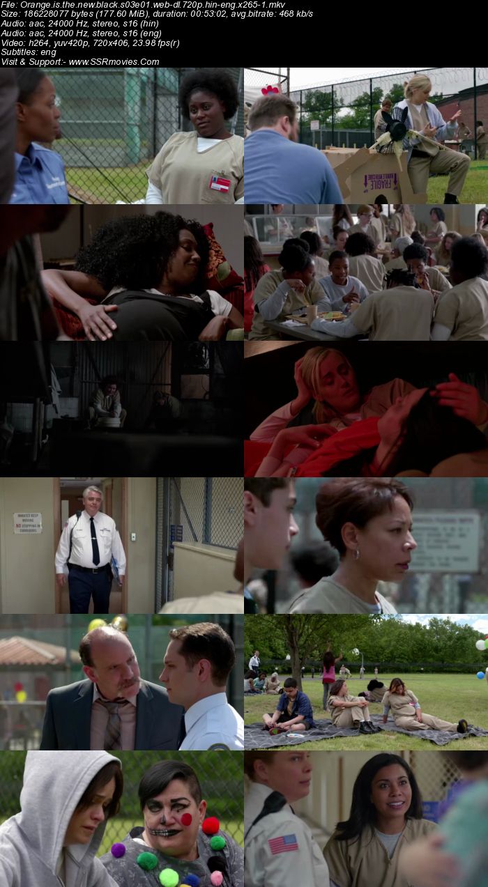 Orange is the New Black S03 Complete 720p 480p WEB-DL x264 ESubs Download