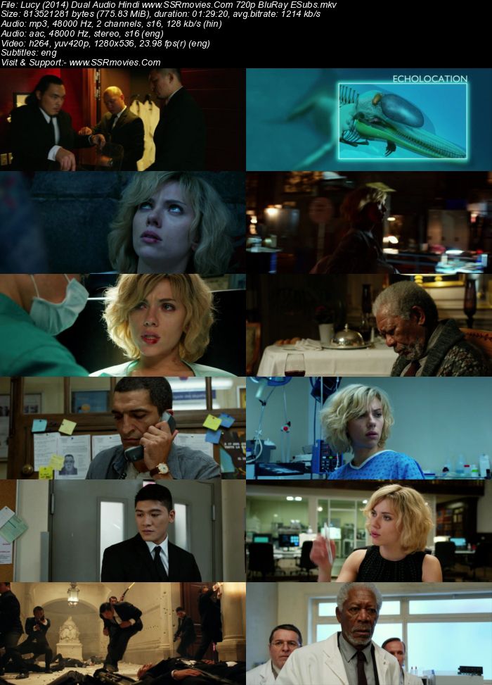 Lucy (2014) Dual Audio Hindi 480p BluRay x264 300MB ESubs Full Movie Download