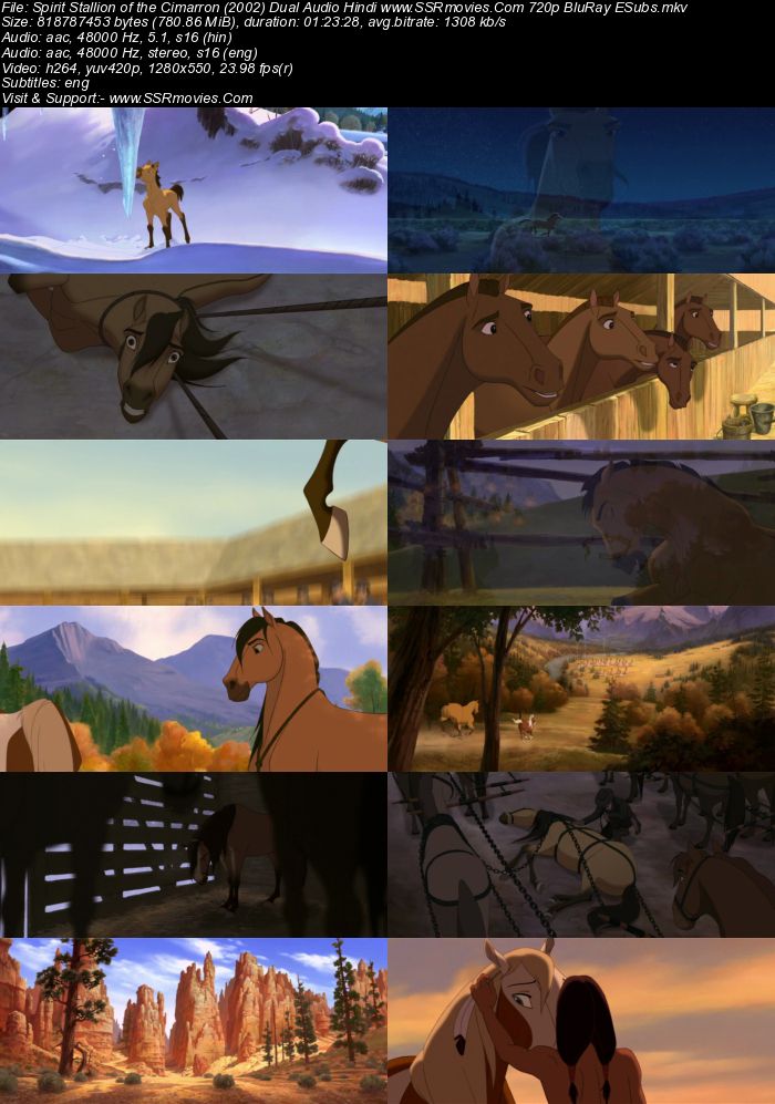 Spirit: Stallion of the Cimarron (2002) Dual Audio Hindi 720p WEB-DL x264 750MB Full Movie Download