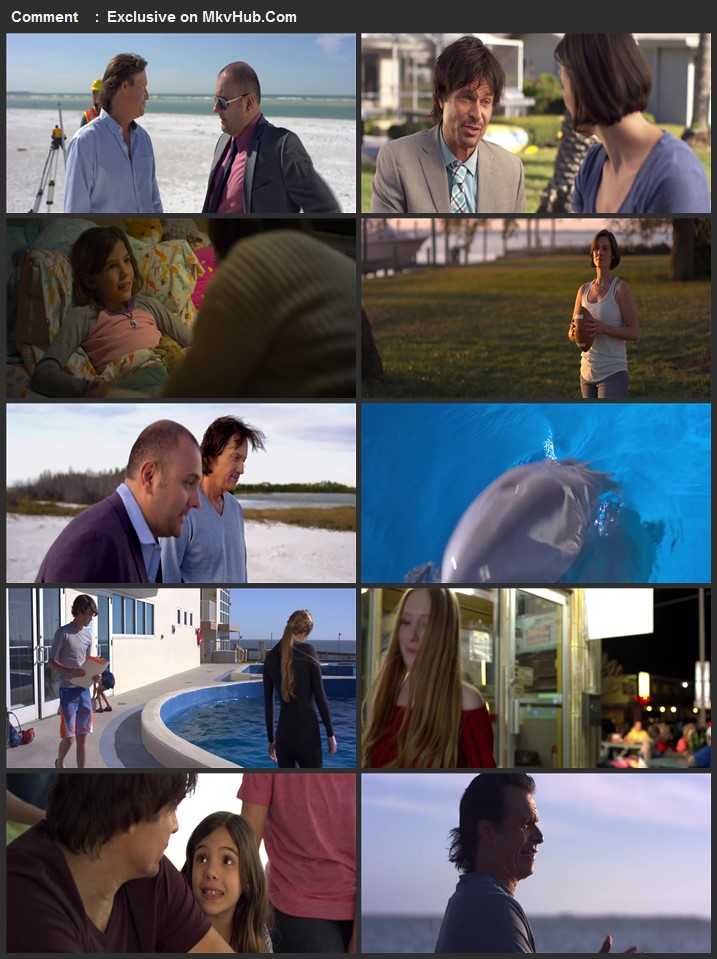 Bernie The Dolphin 2018 720p BluRay Full English Movie Download