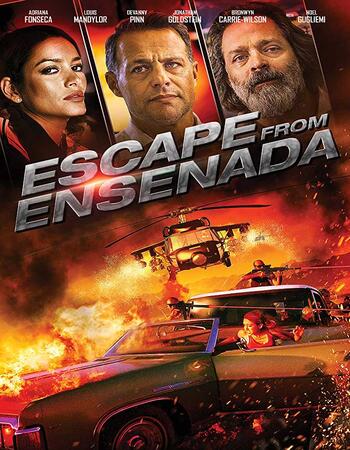 Escape from Ensenada (2017) Dual Audio Hindi 480p BluRay 250MB ESubs Full Movie Download