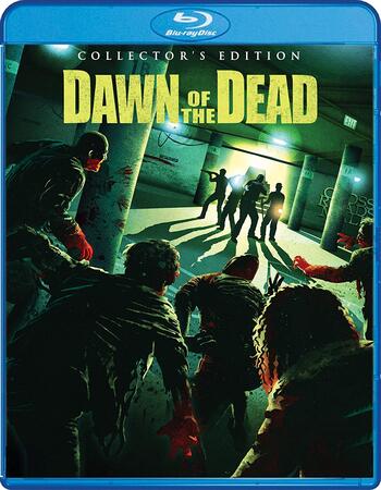 Dawn of the Dead (2004) Dual Audio Hindi 720p BluRay x264 900MB Full Movie Download