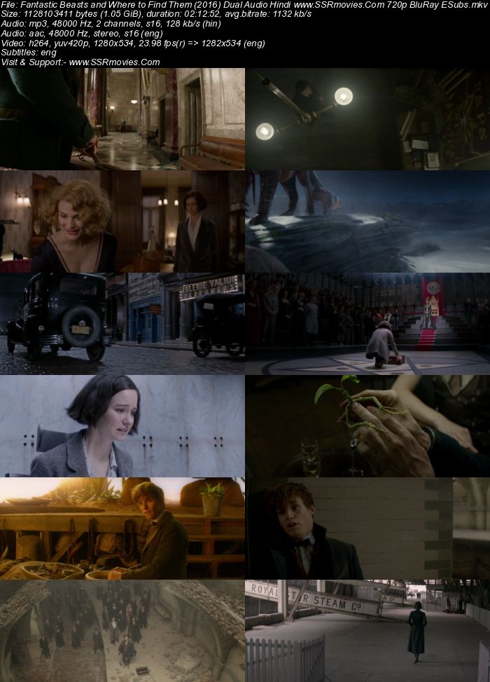 Fantastic Beasts (2016) Dual Audio Hindi 480p BluRay x264 450MB ESubs Full Movie Download