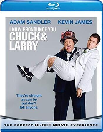 I Now Pronounce You Chuck & Larry (2007) Dual Audio Hindi 480p BluRay 350MB Full Movie Download