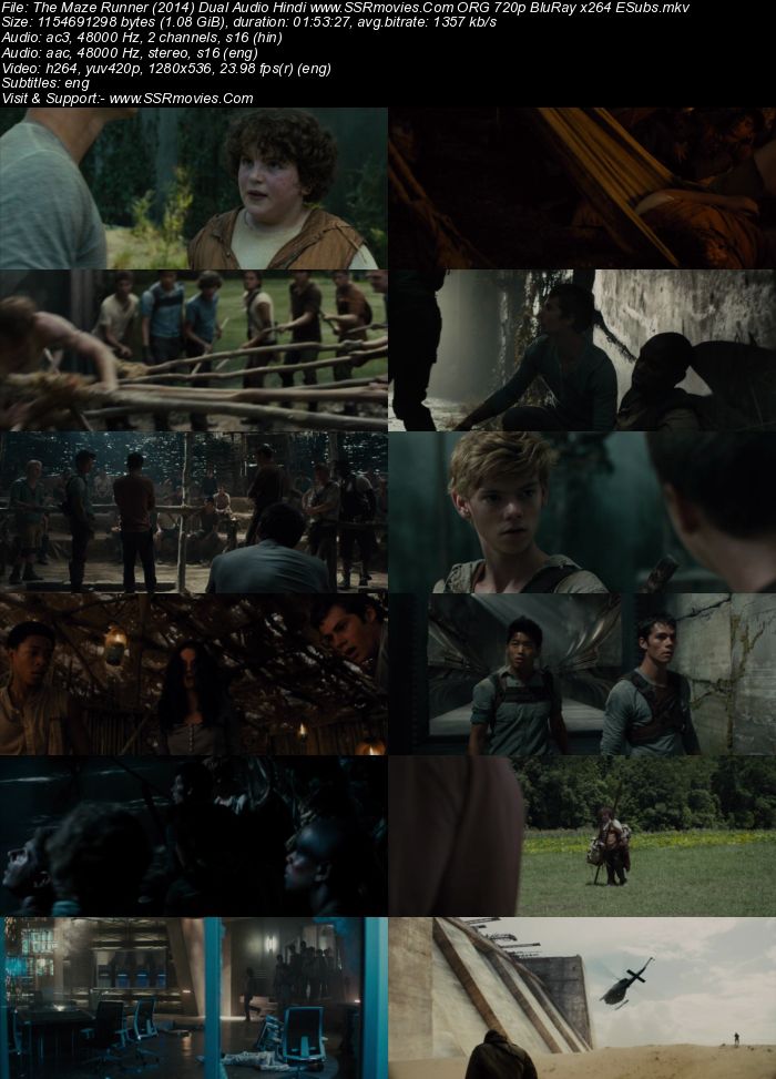 The Maze Runner (2014) Dual Audio Hindi ORG 720p BluRay x264 1.1GB Full Movie Download