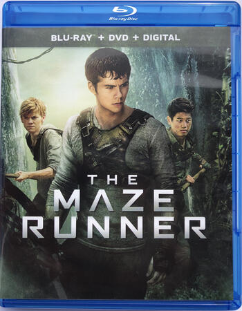 The Maze Runner (2014) Dual Audio Hindi ORG 720p BluRay x264 1.1GB Full Movie Download