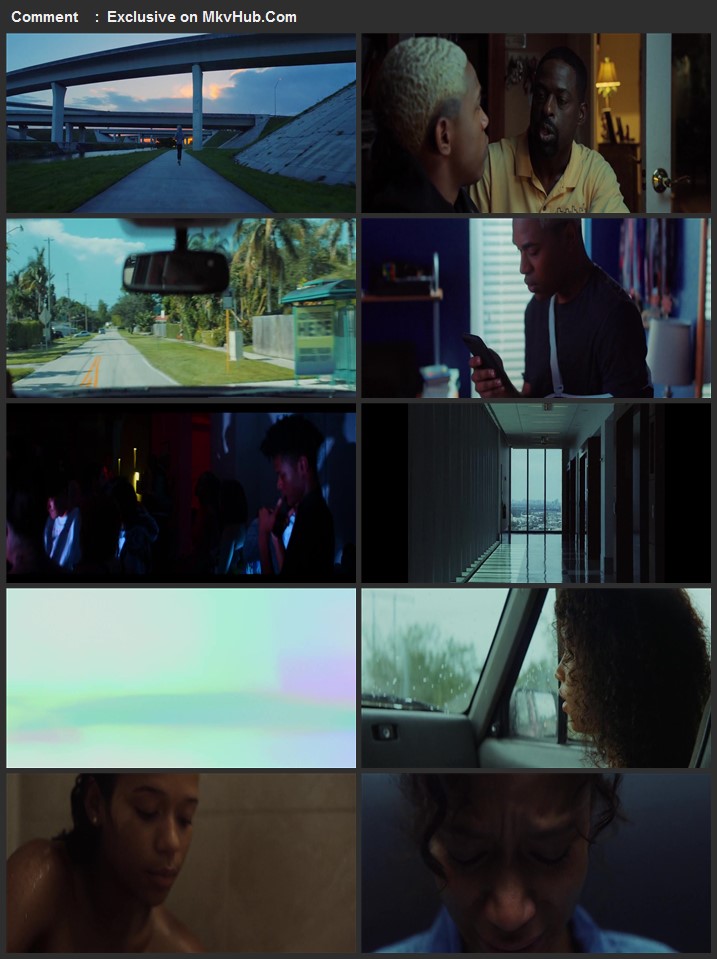 Waves 2019 1080p BluRay Full English Movie Download