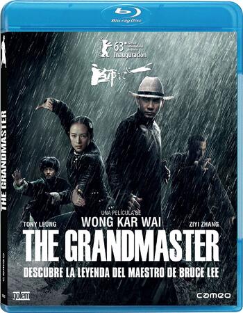 The Grandmaster (2013) Dual Audio Hindi 720p BluRay x264 1GB Full Movie Download