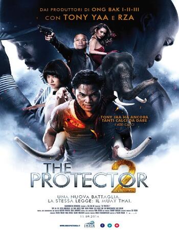 The Protector 2 (2013) Dual Audio Hindi 480p BluRay x264 300MB Full Movie Download