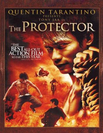 The Protector (2005) Dual Audio Hindi 480p BluRay x264 350MB Full Movie Download