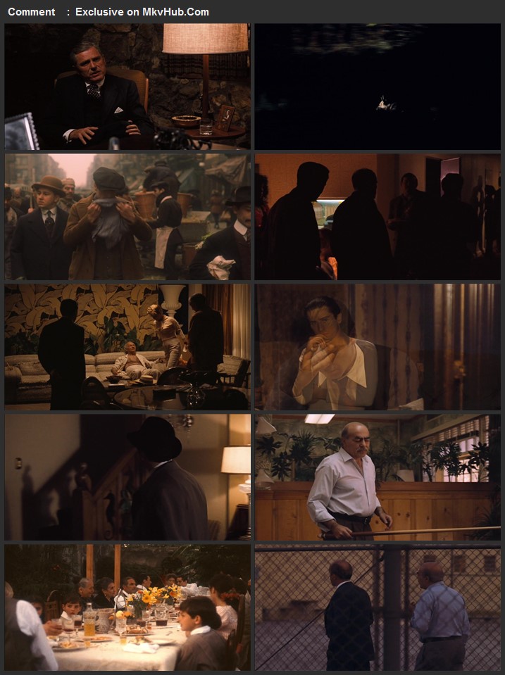 The Godfather Part II 1974 720p BluRay Full English Movie Download