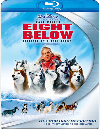 Eight Below (2006) Dual Audio Hindi 720p BluRay x264 800MB Full Movie Download