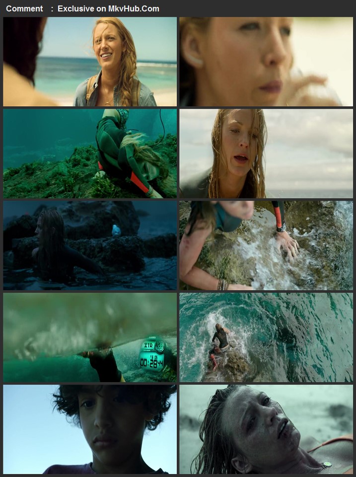 The Shallows 2016 720p BluRay ORG Dual Audio In Hindi English