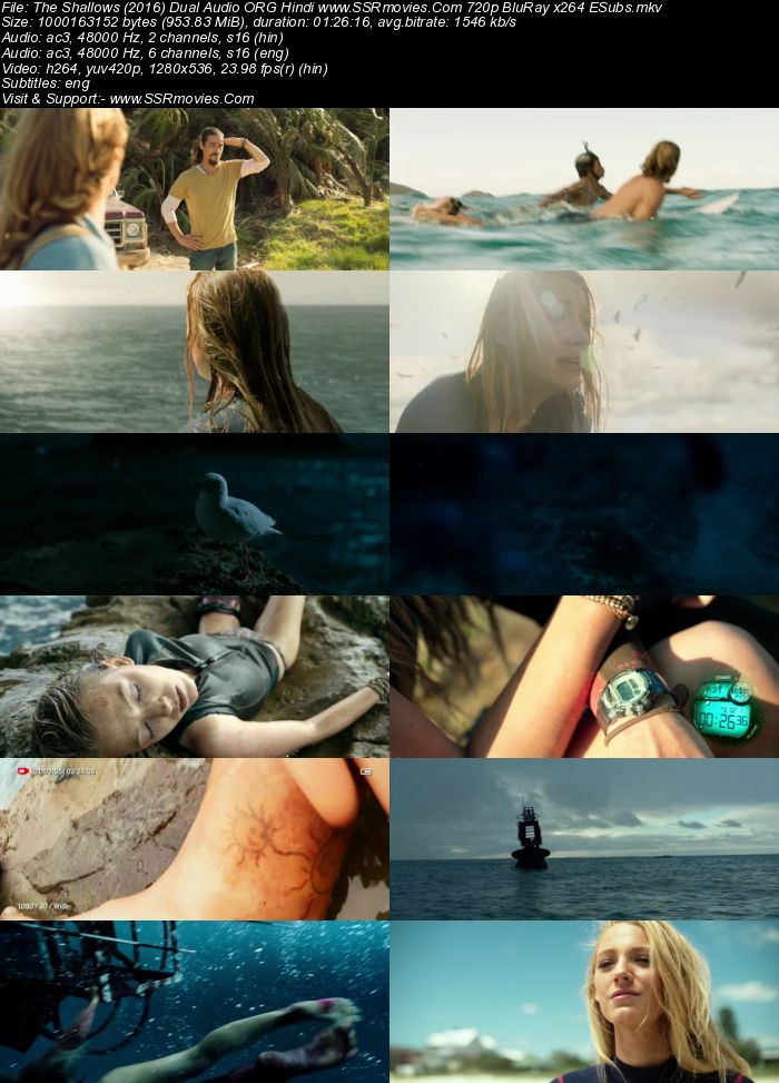 The Shallows (2016) Dual Audio Hindi 480p BluRay x264 300MB ESubs Full Movie Download