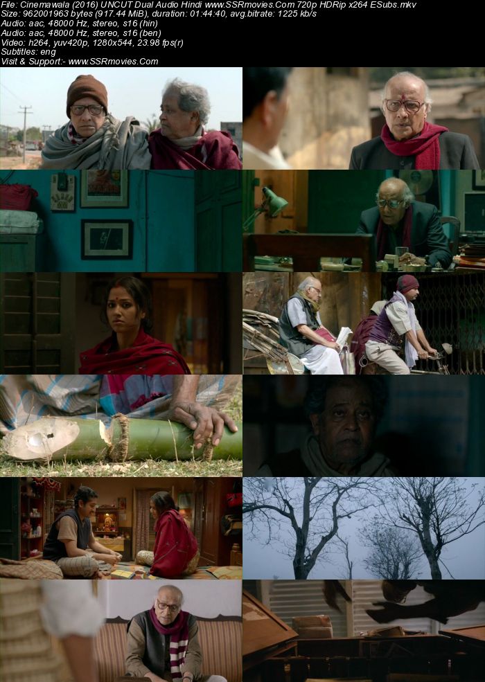 Cinemawala (2016) Dual Audio Hindi 720p HDRip x264 900MB Full Movie Download